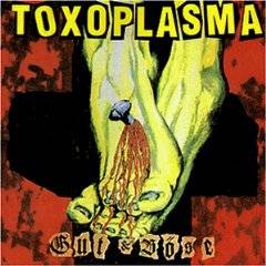 Toxoplasma : Gut & Böse
